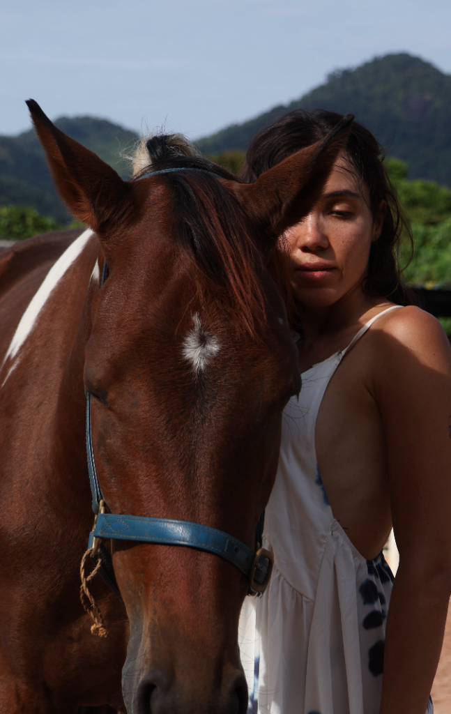 screenshot 2026 02 12 at 1.16.40 pm screenshot 2026 02 12 at 1.16.40 pm